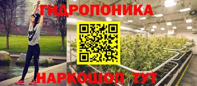 сатива Новозыбков