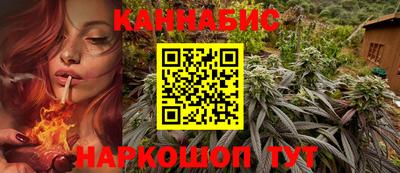 крисы Нальчик