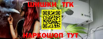 сатива Новозыбков