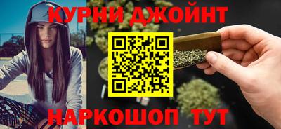 сатива Новозыбков