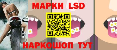 сатива Новозыбков