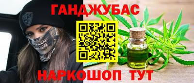 сатива Новозыбков