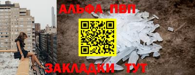 сатива Новозыбков