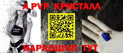сатива Новозыбков