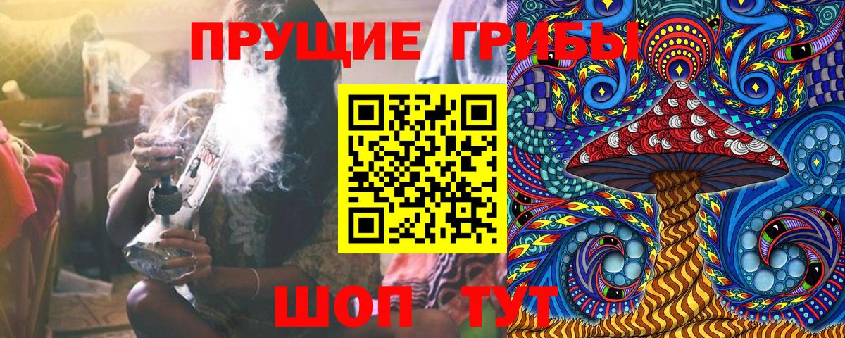 Галлюциногенные грибы MAGIC MUSHROOMS Кохма