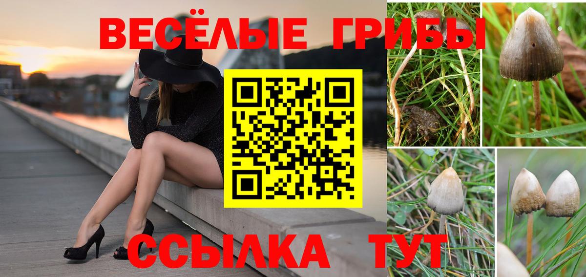 Псилоцибиновые грибы Magic Shrooms  Вход с VPN  Кохма 